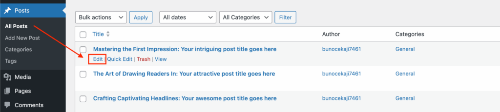 WordPress dashboard Post edit